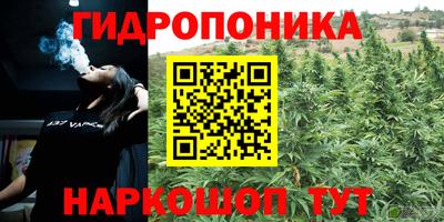 молекула духа Будённовск