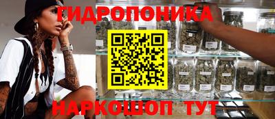 молекула духа Будённовск