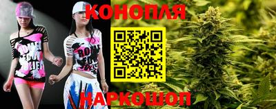 молекула духа Будённовск